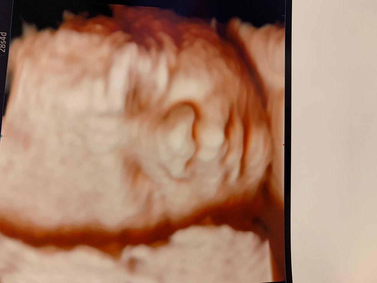 Amanda Tavares Grangeiro-1