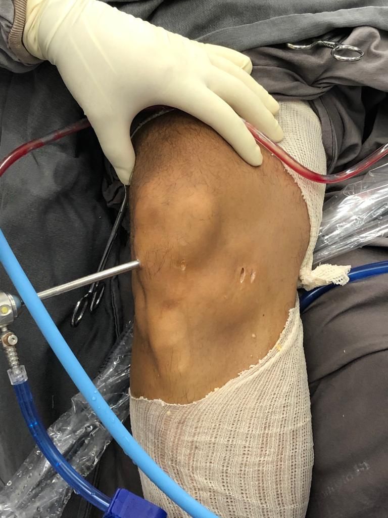 Eduardo Ramalho De Moraes-26