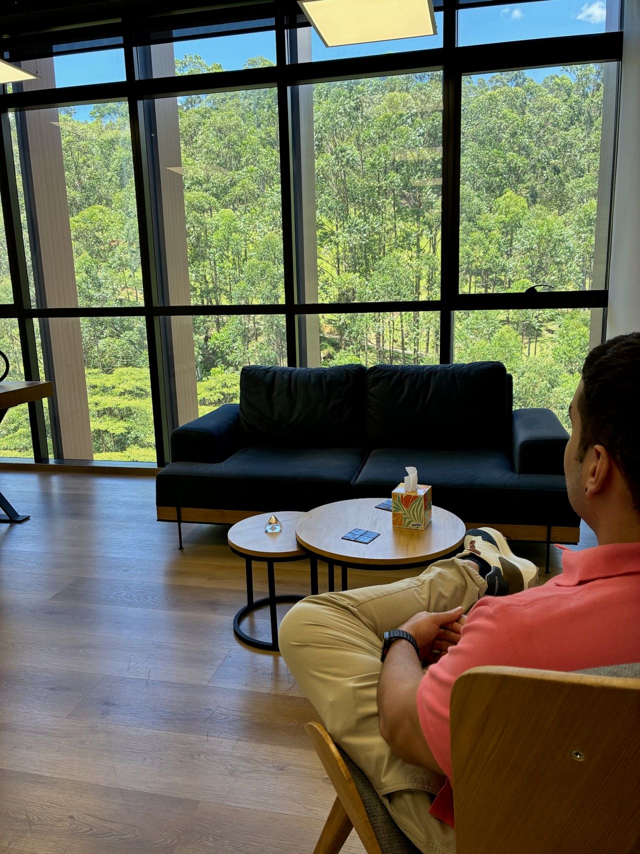 David Mejia Sarasa-5