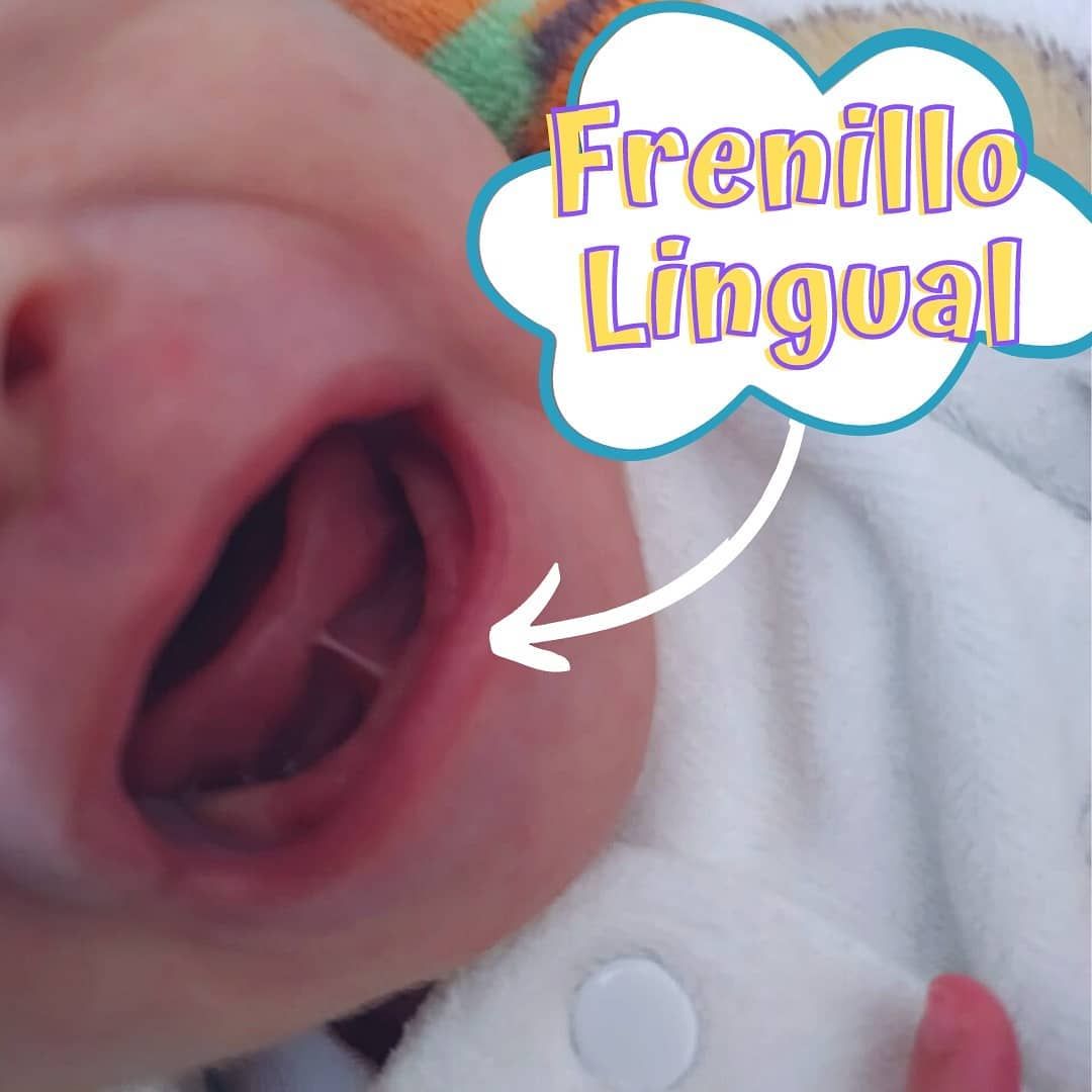 Constanza Castilla Latorre-4