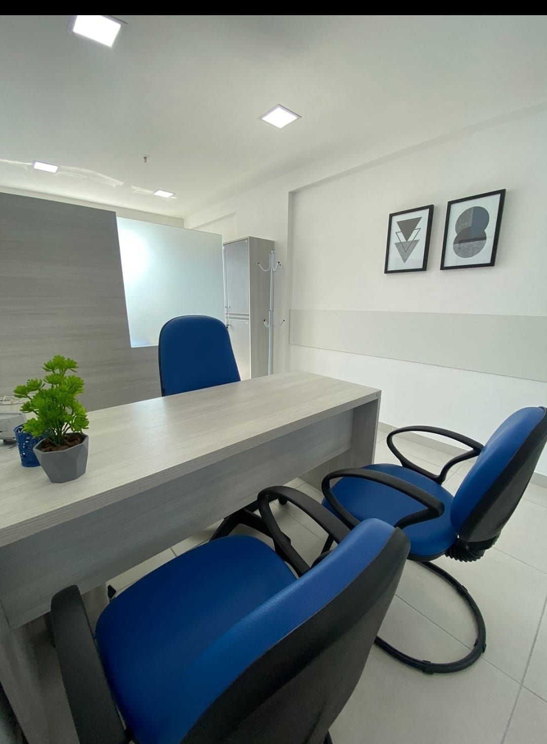 Carla Ferreira Gagliardi-3