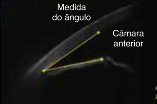 Daniela Erthal Righi Vieira-5