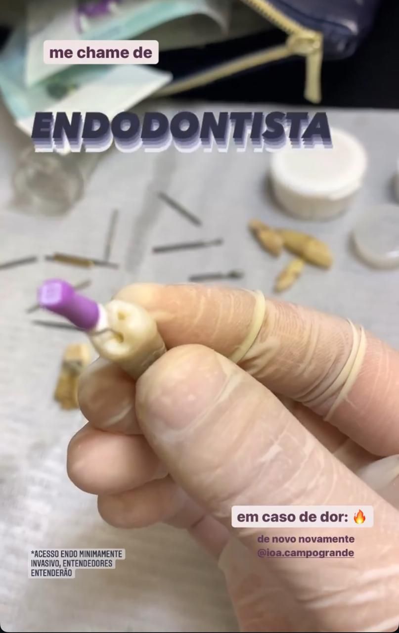 Beatriz Rezende Do Carmo-0