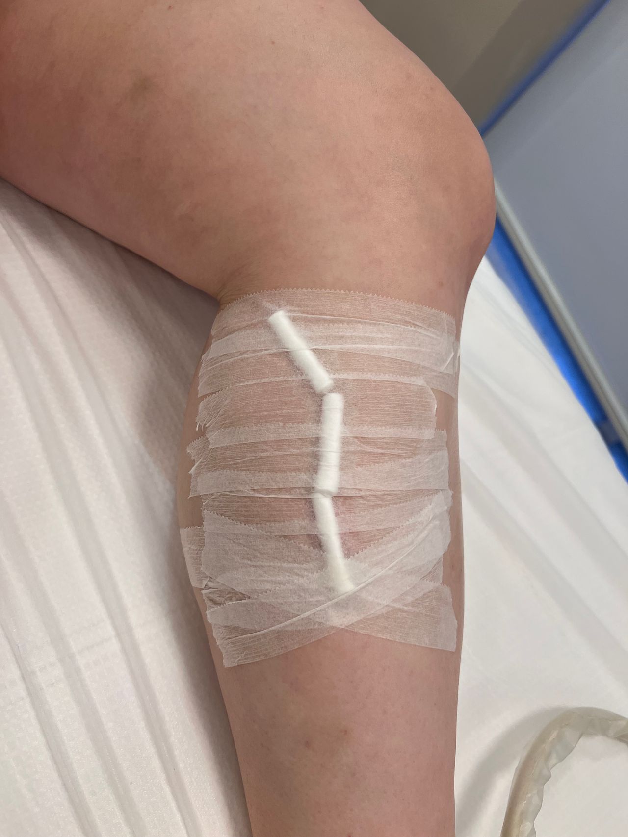 Claudia Stein Gomes-16