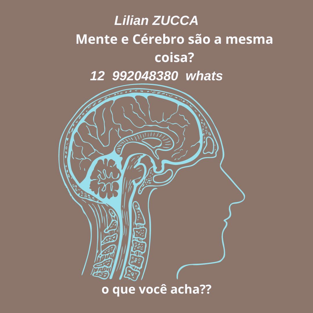 Lilian Beatriz Zucca-3