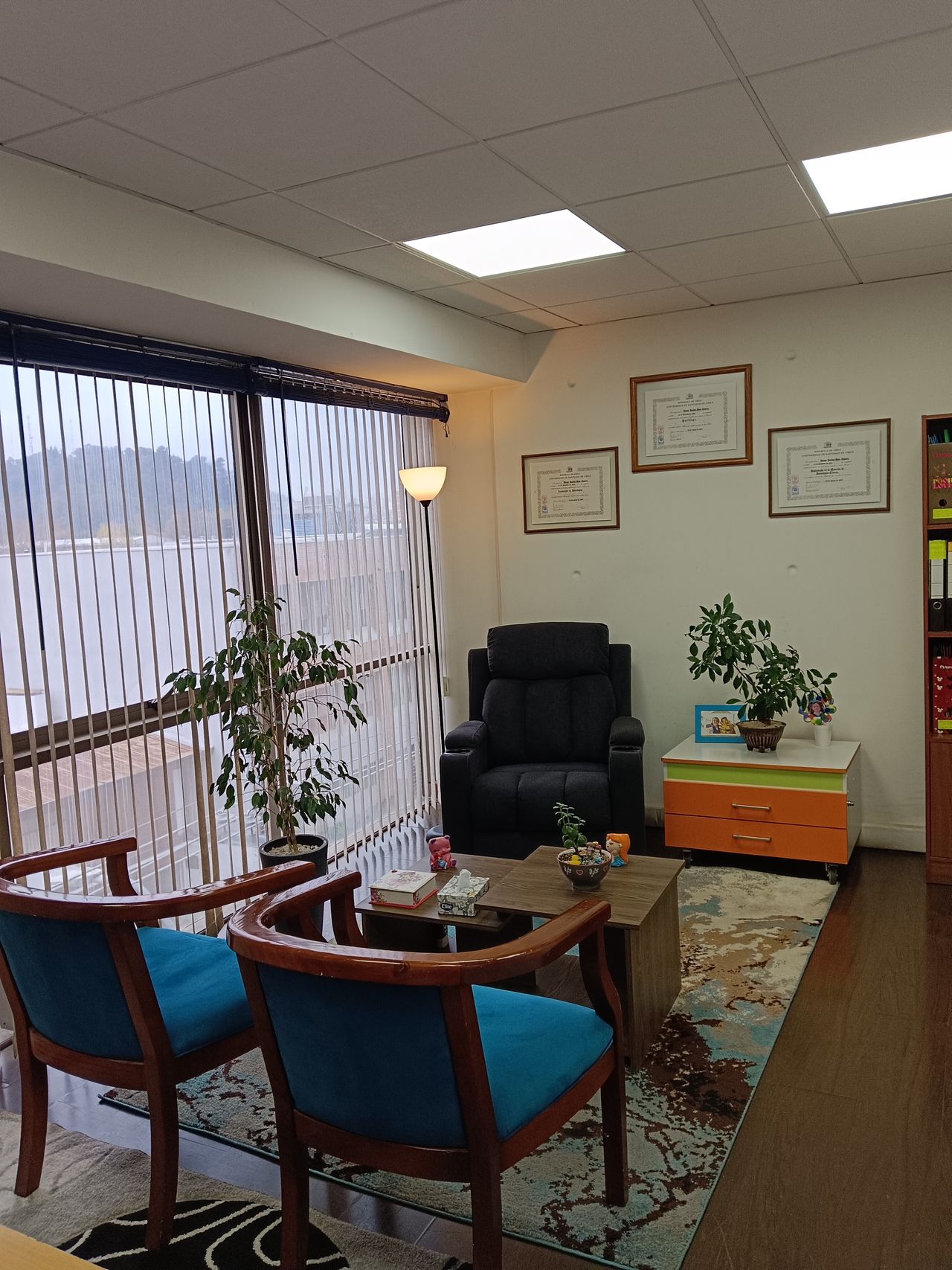 Viviana Moya Navarro-6