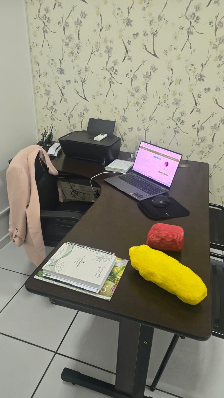 Cristiane Da Silva-12