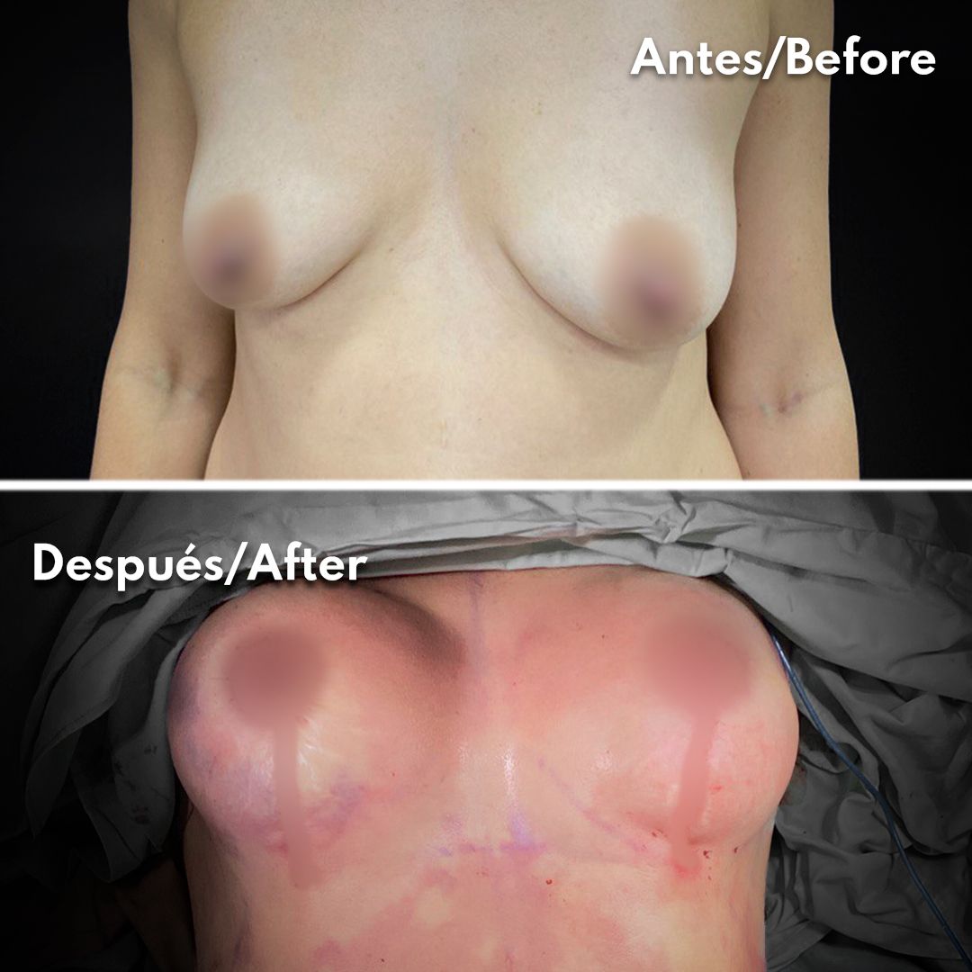 Alejandro Jiménez Avilés-7