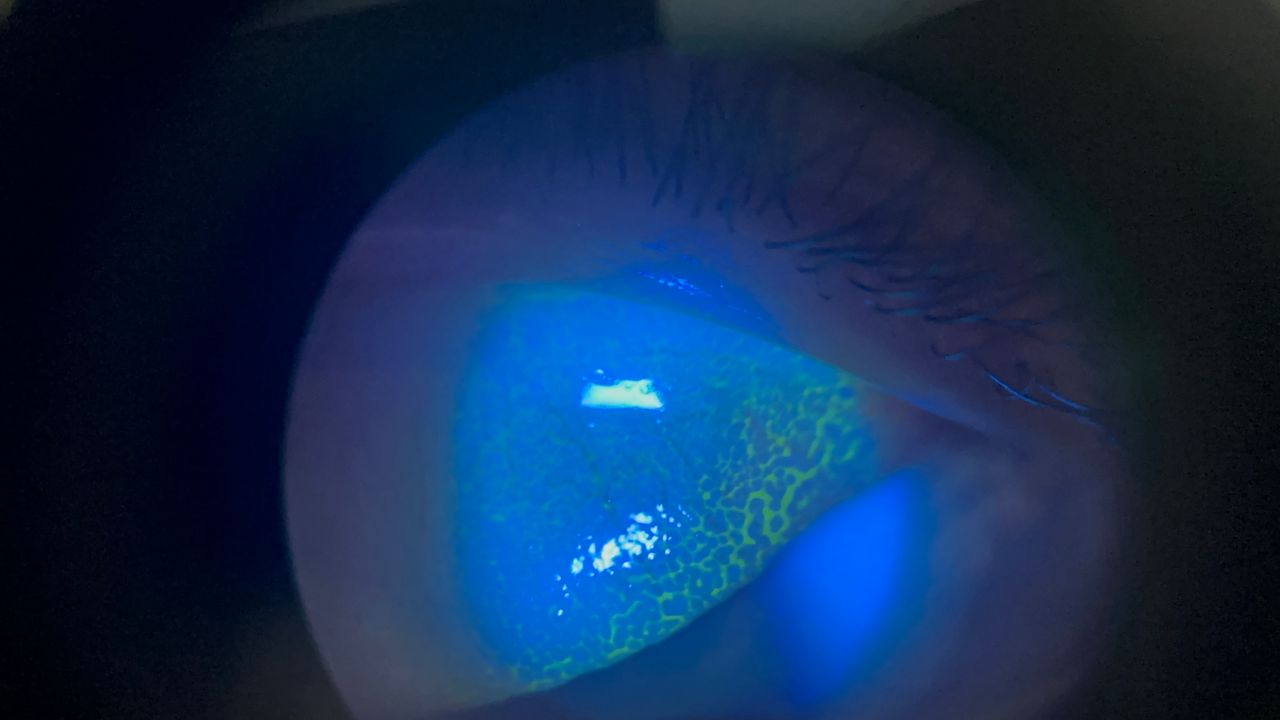 Daniela Cardona Acevedo-20