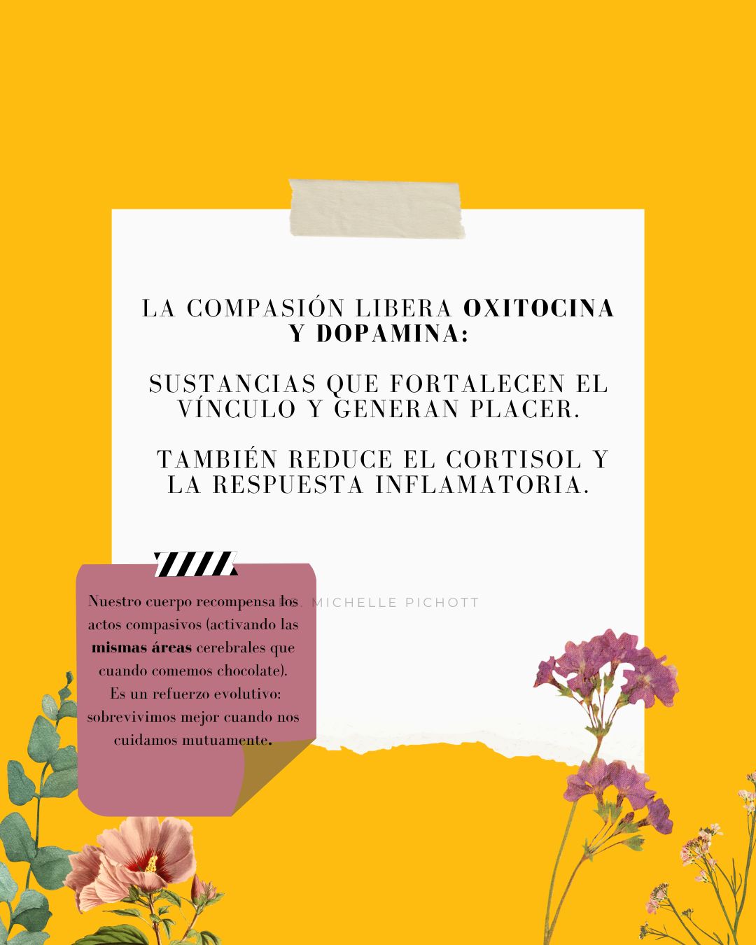 Michelle Josefa  Pichott Gallardo-2