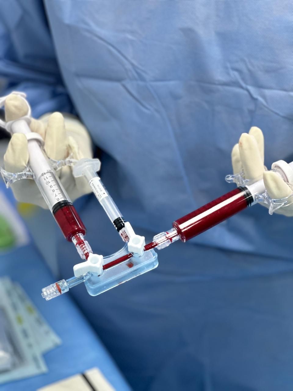 Romeu Maggesissi Travezani-4