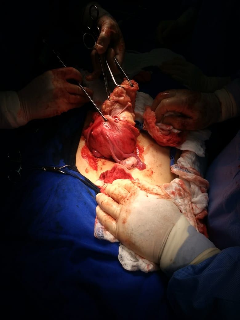 Fatima Akemi Tamaru-34