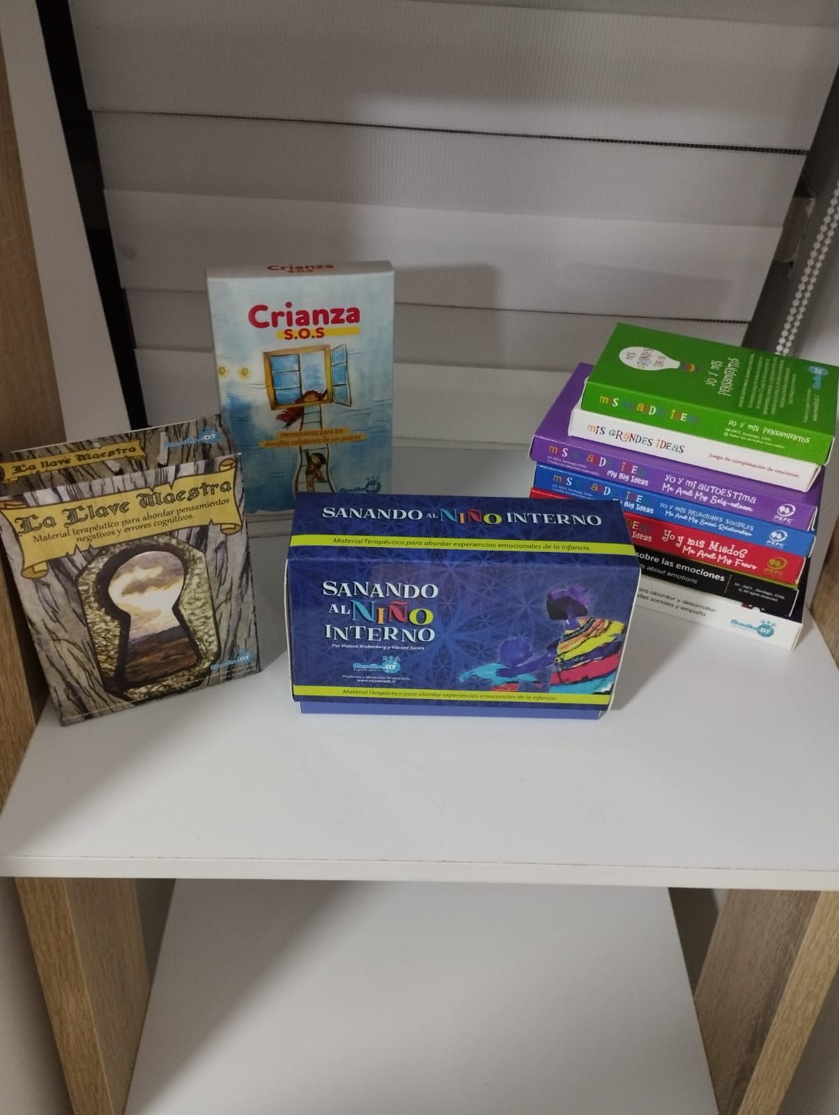 Paulina Miranda Rivera-6