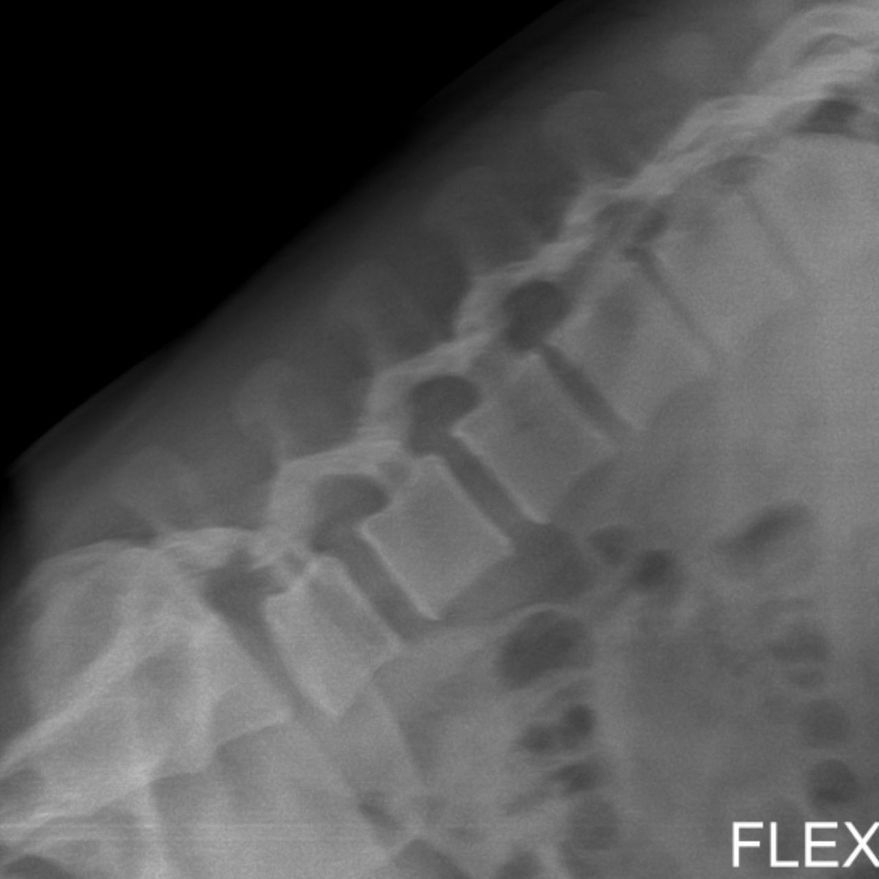 David Tafur Muñoz-2389