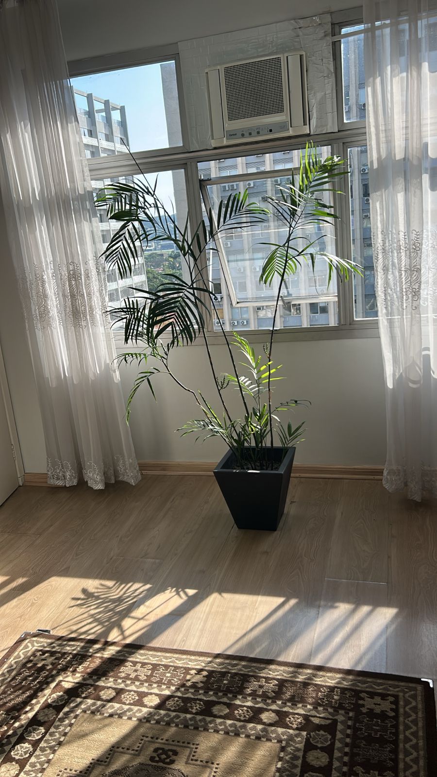 Waldomiro Pires De Camargo Junior-6