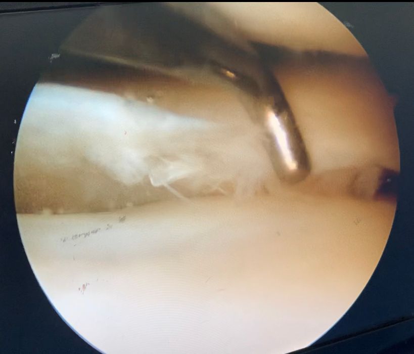 Rodolpho Rabello Pedrosa Costa-6