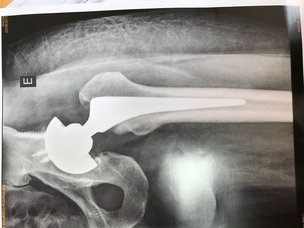 Alexandre Terruggi Jr-8