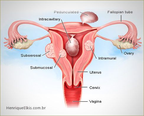 Renata Wanderley Nogueira-16