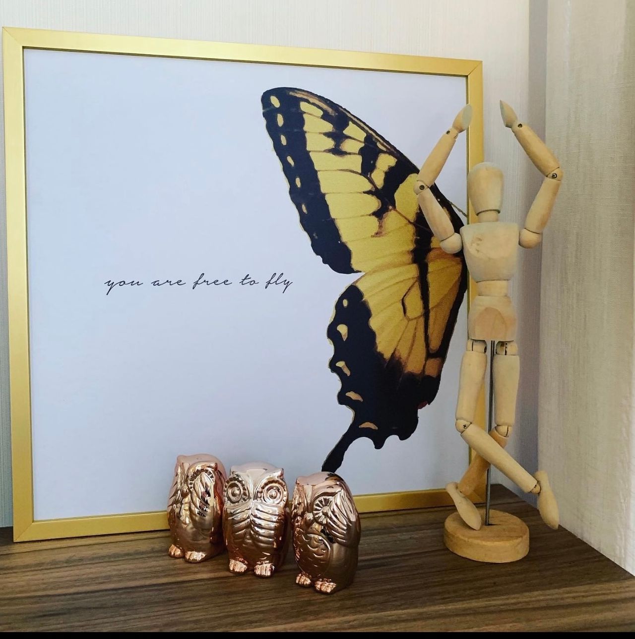 Ana Carolina Seara-9