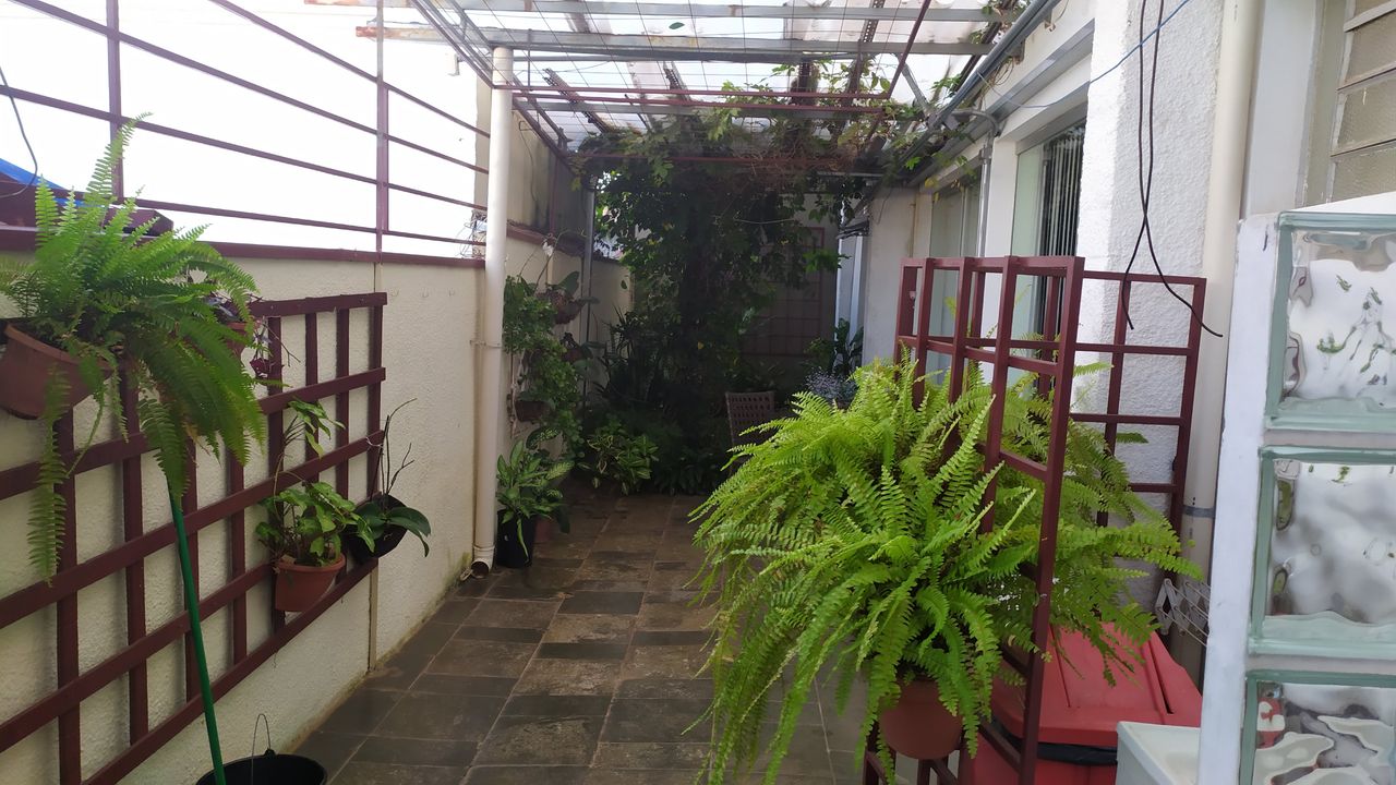 José Eduardo  Santos Miguel-10