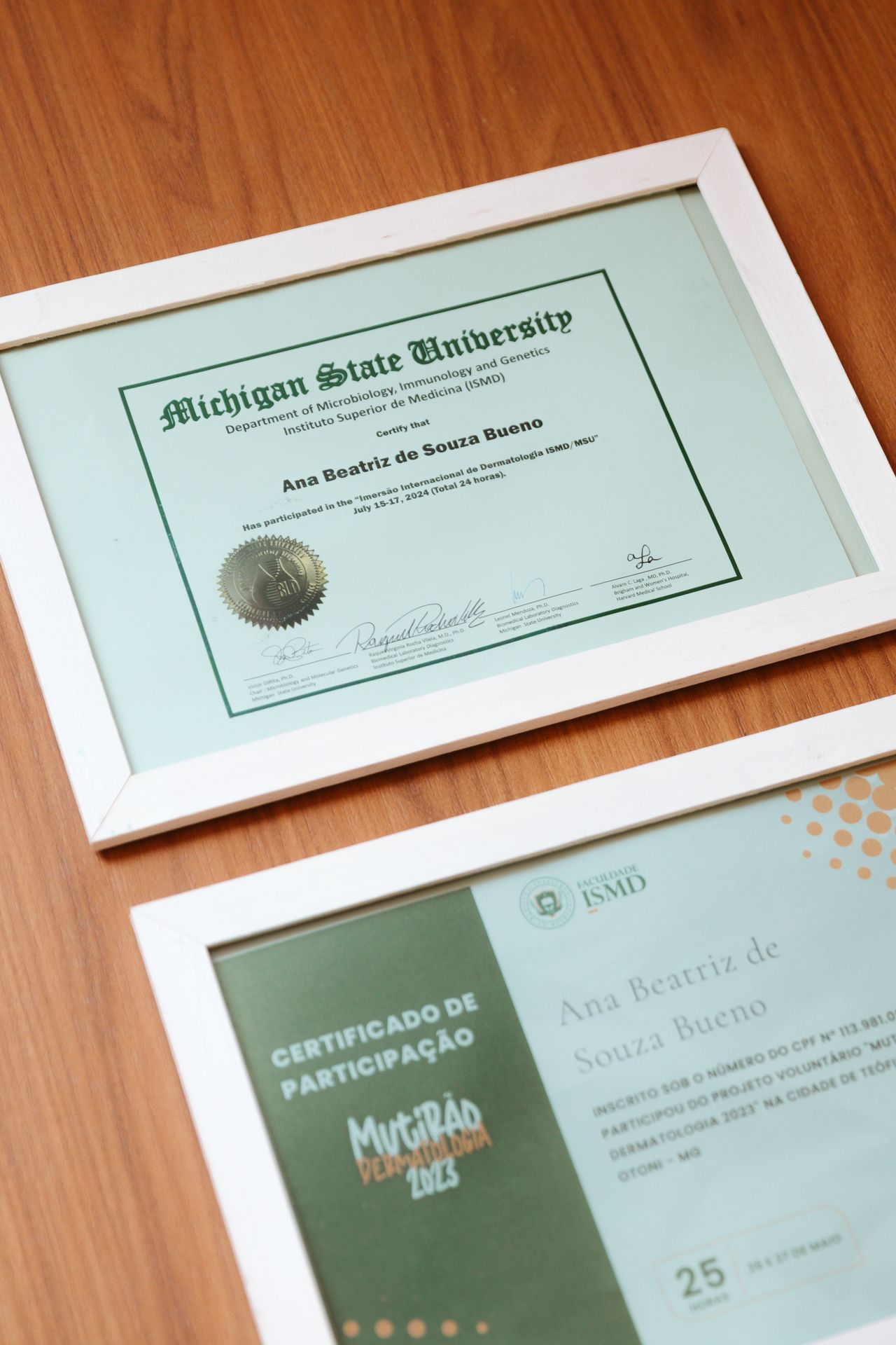 Ana Beatriz De Souza Bueno-17