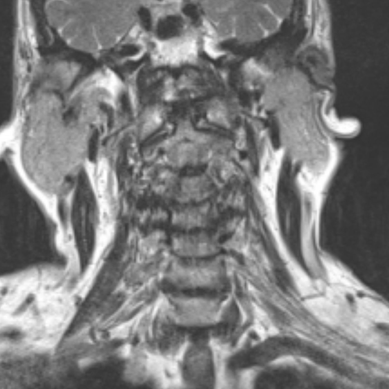 David Tafur Muñoz-1509