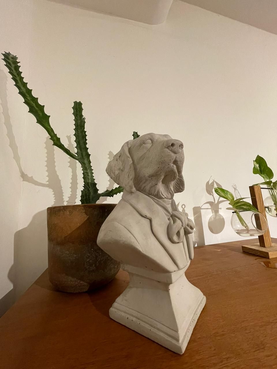 Cássia Dummar Pontes-3