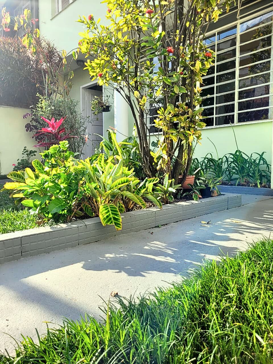 Leticia Ribas Bassan-5