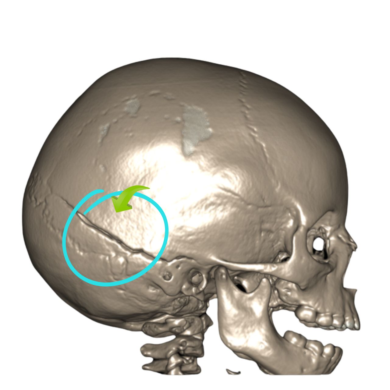 David Tafur Muñoz-1319