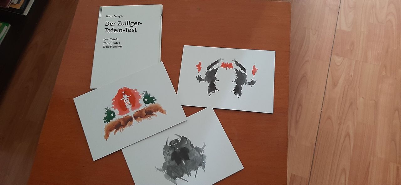 Marco Matus De La Parra Concha-8