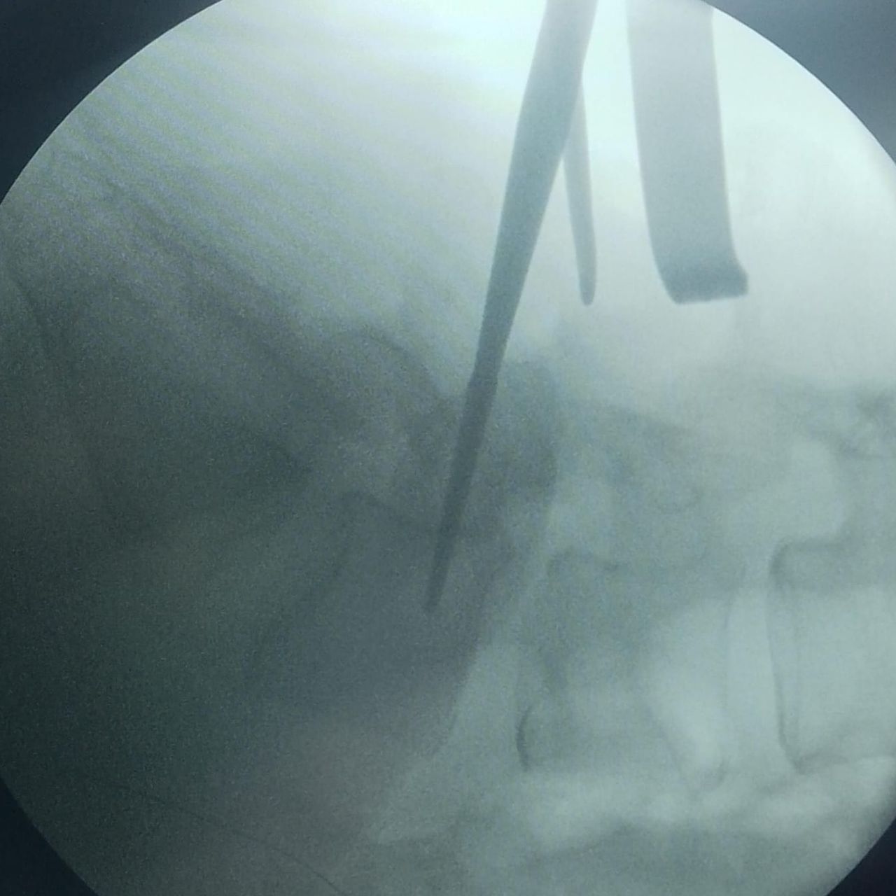 David Tafur Muñoz-1295