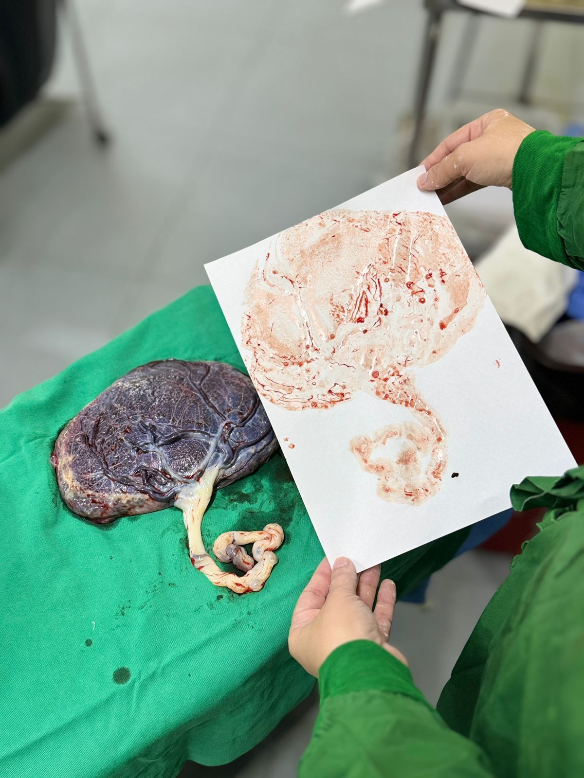 Livia Campelo Guerra Ribeiro-15