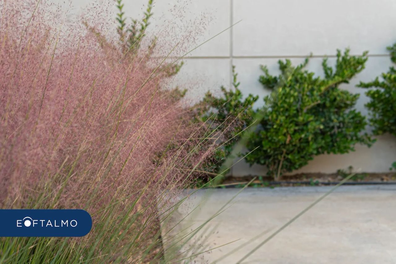 Reinaldo Germán Echavarría-2