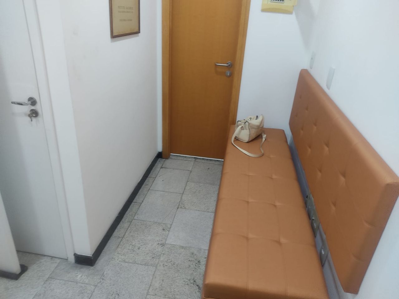 Ana Paula Quintanilha Dos Santos-2