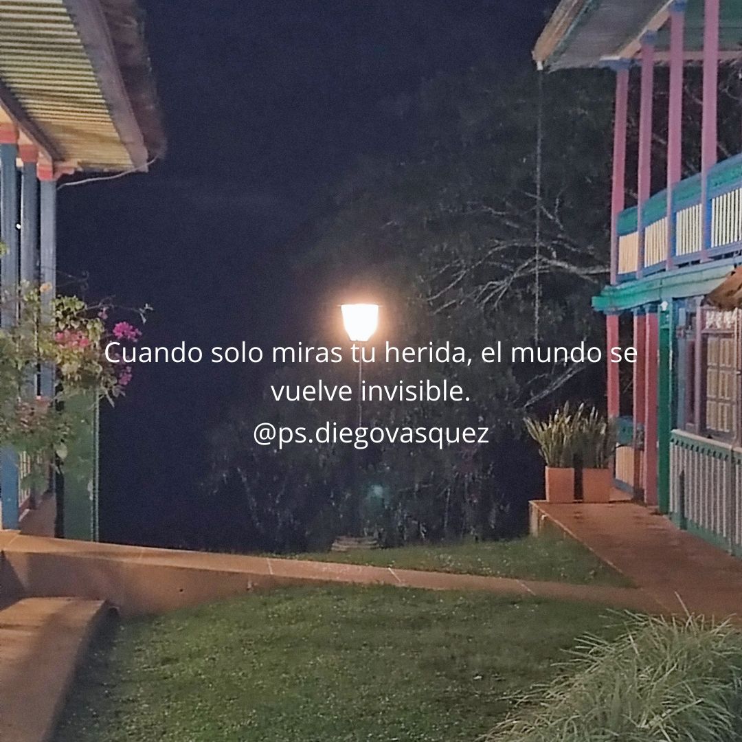 Diego Fernando Vasquez Espinosa-34