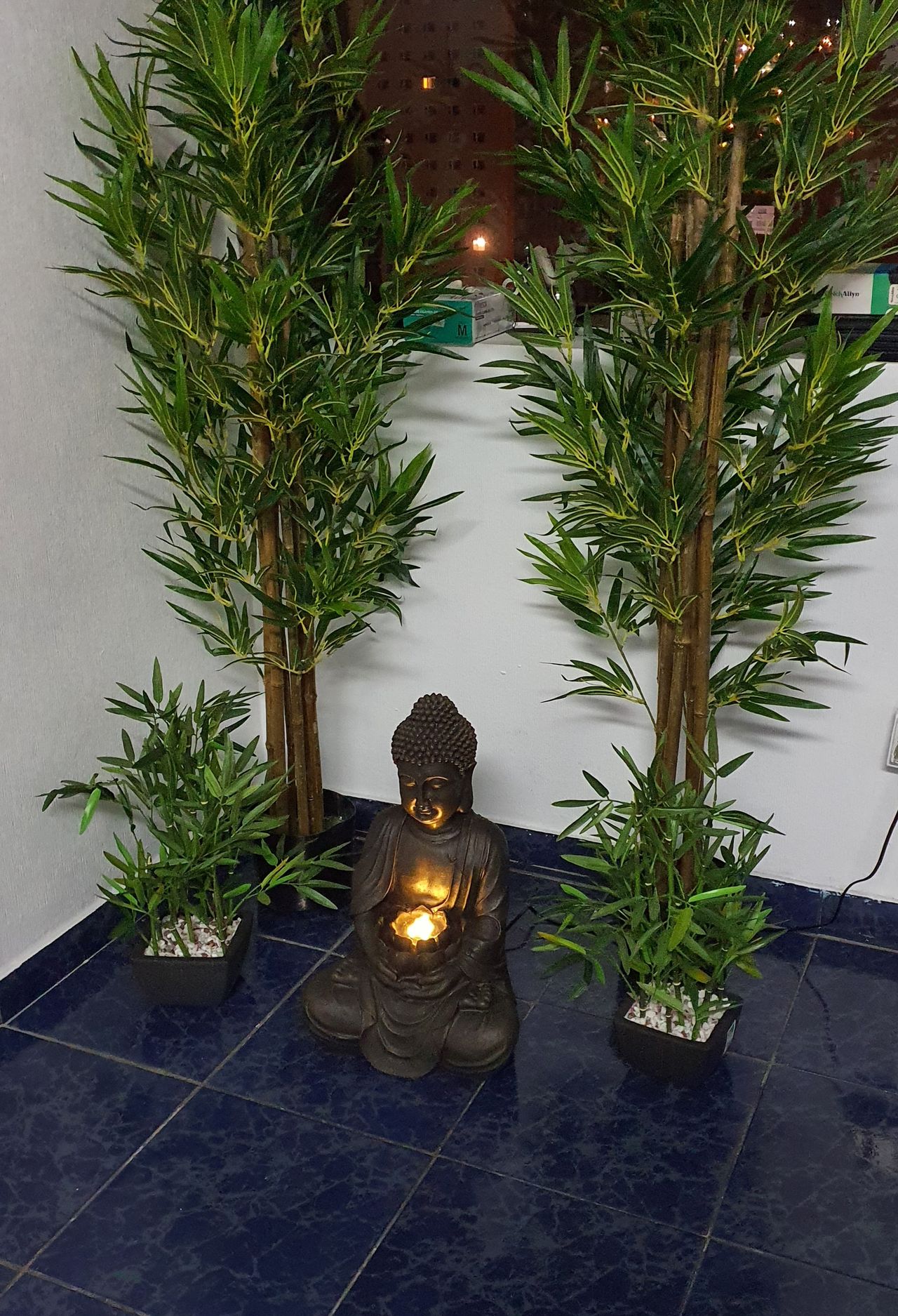 Cristian Sidney Salas Rojas-15