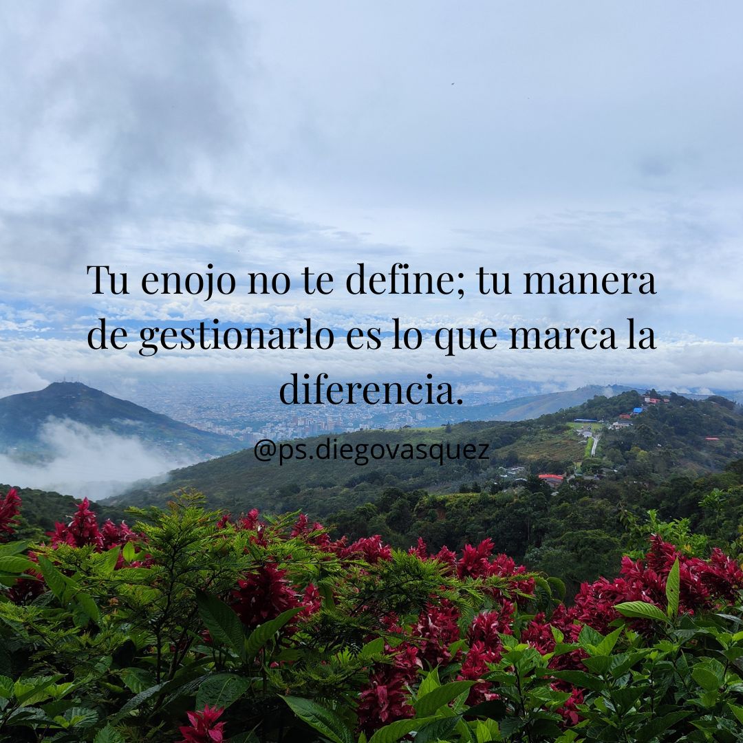 Diego Fernando Vasquez Espinosa-35