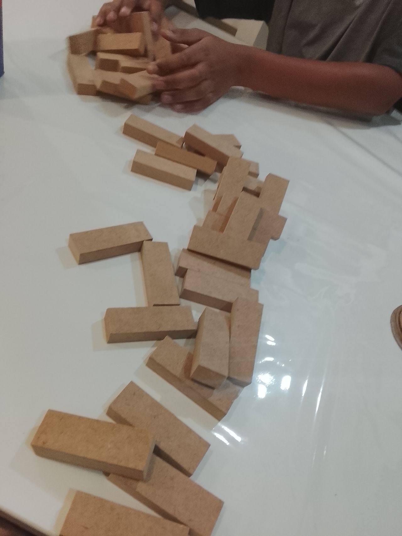 Roberta De Barros-12