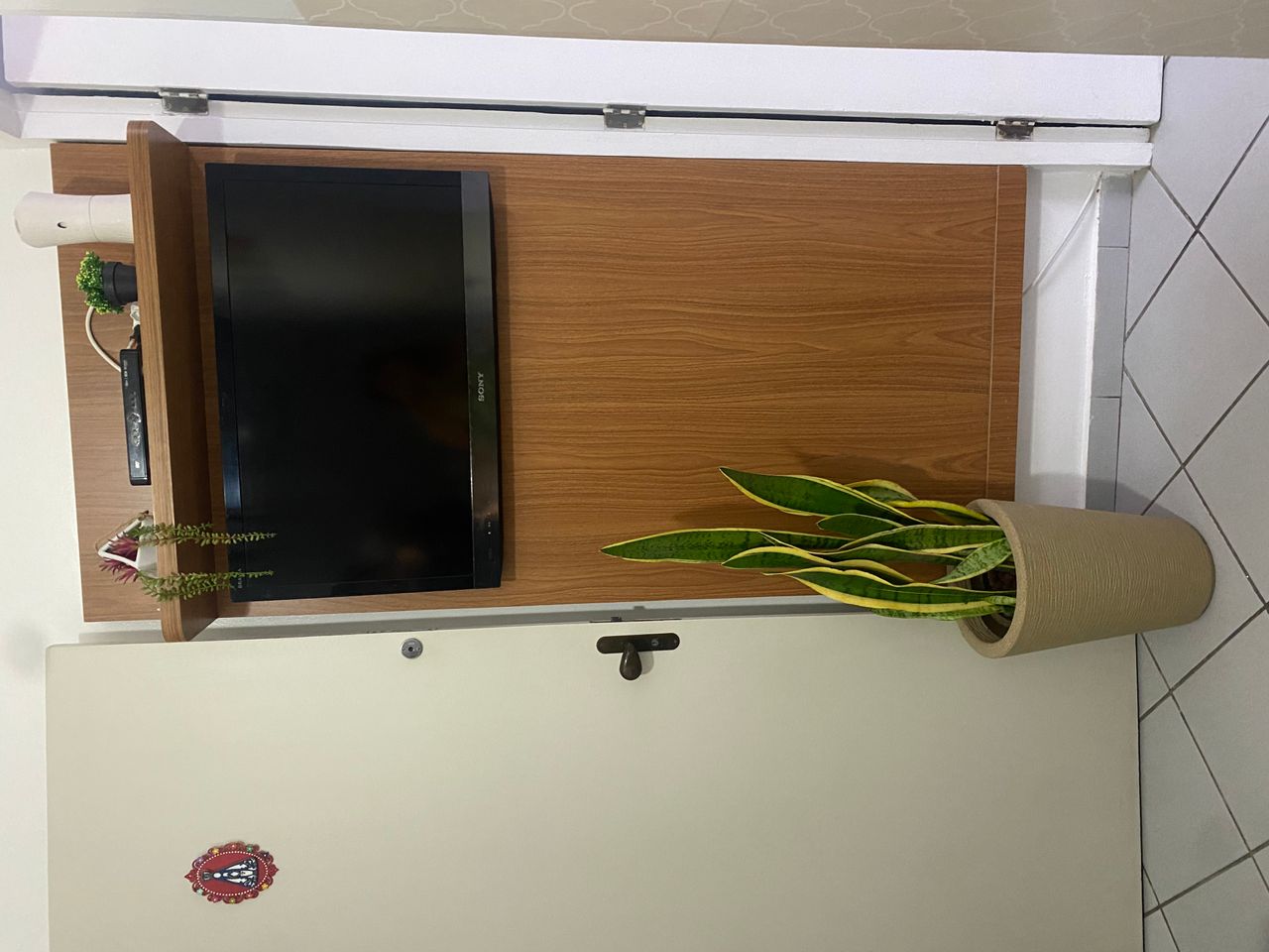 Fernanda Carneiro Pinto-18