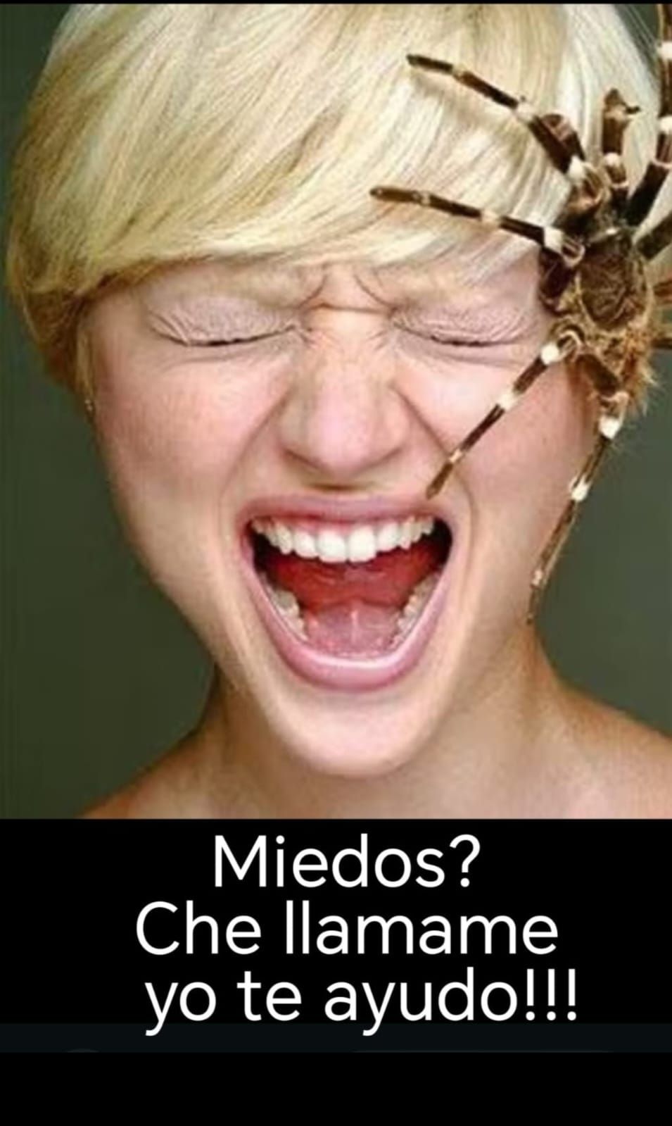 Maximiliano Steneri-0