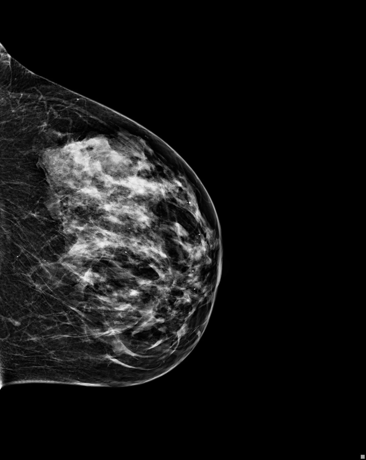 Caroline Vieira De Freitas-3