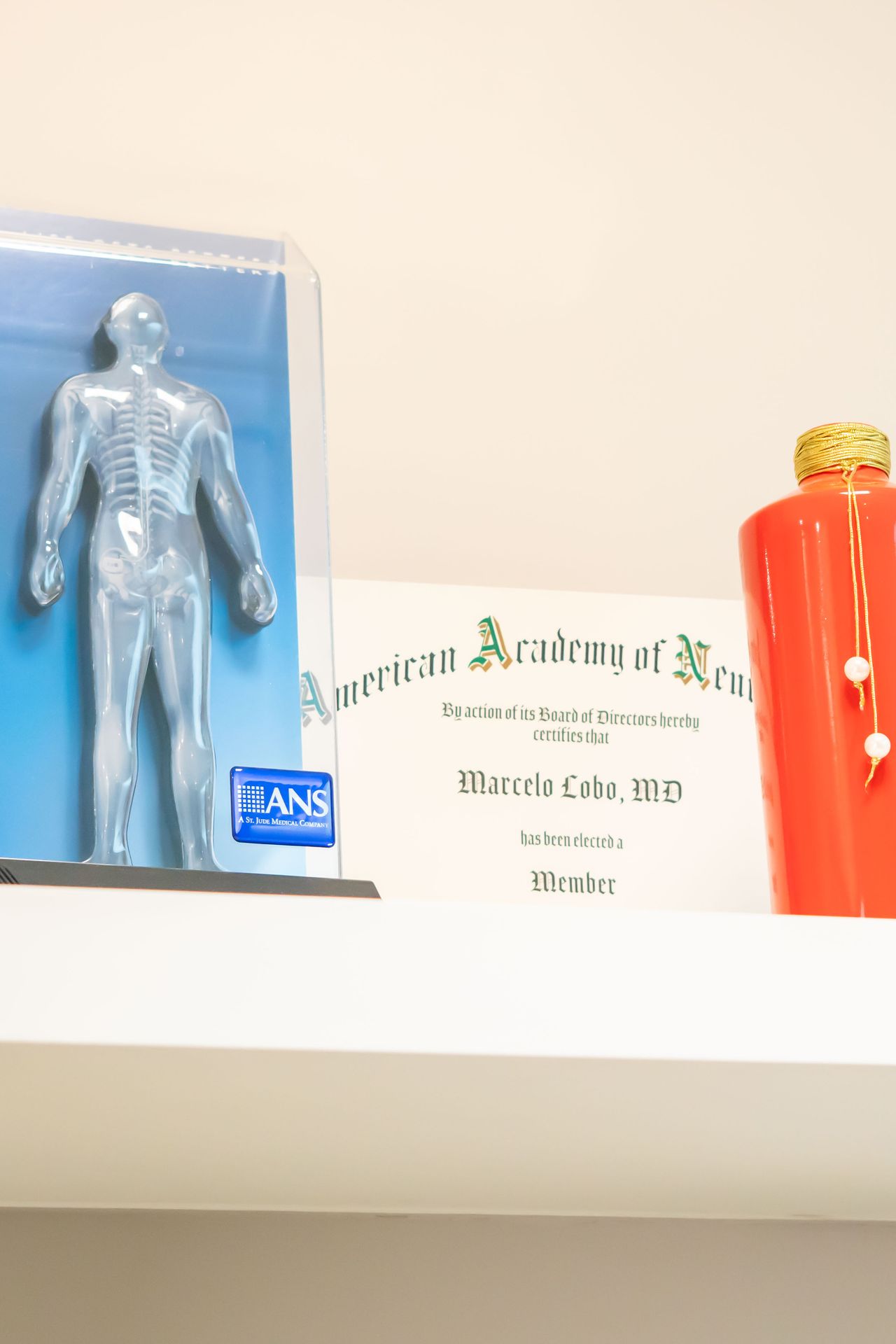 Marcelo Evangelista Lobo-1