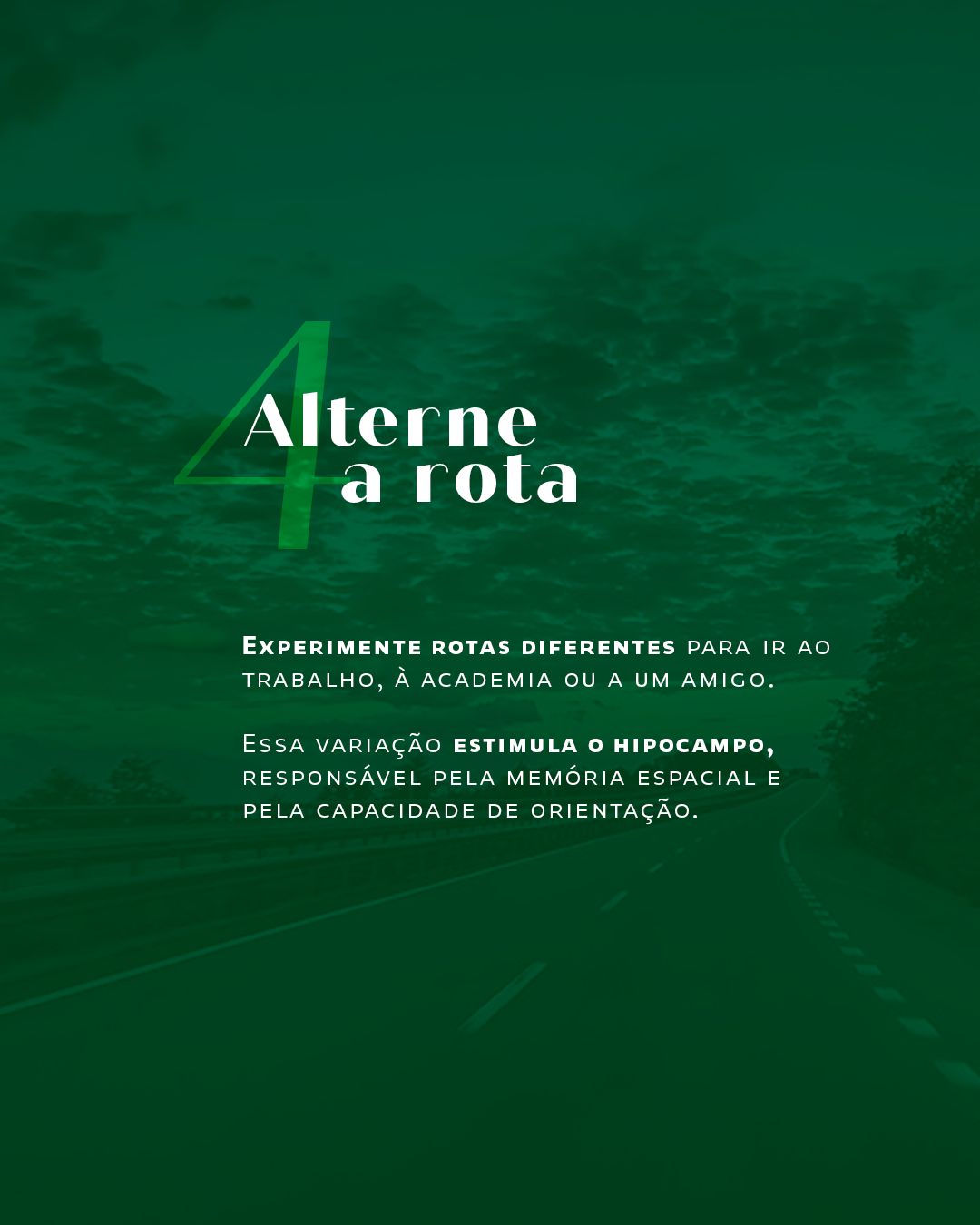 Igor Pereira Matos De Oliveira-19