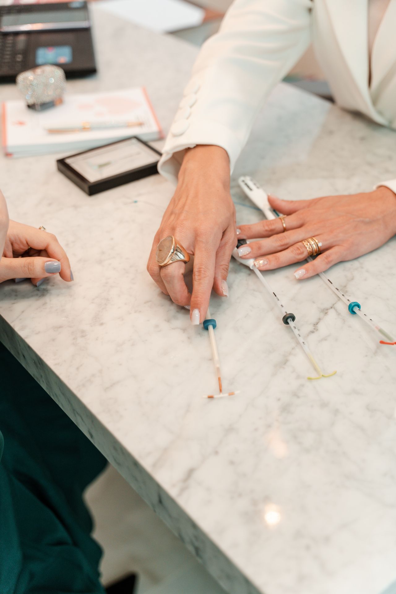 Liliane Vivian Bicudo-1