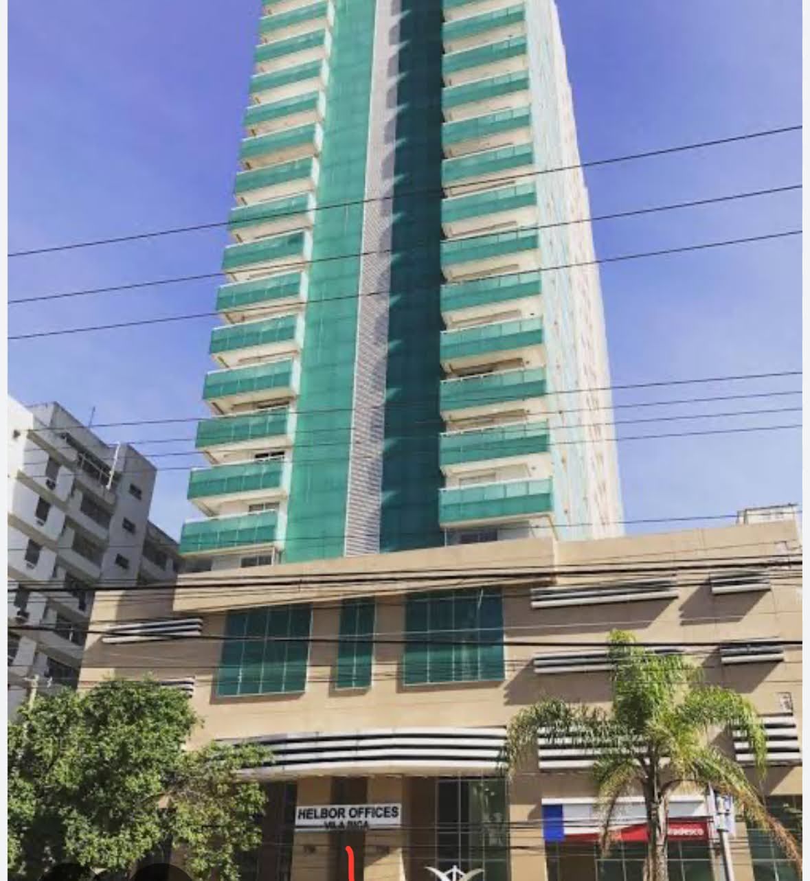 Maria Fernanda Sousa Asevedo Alberto-1