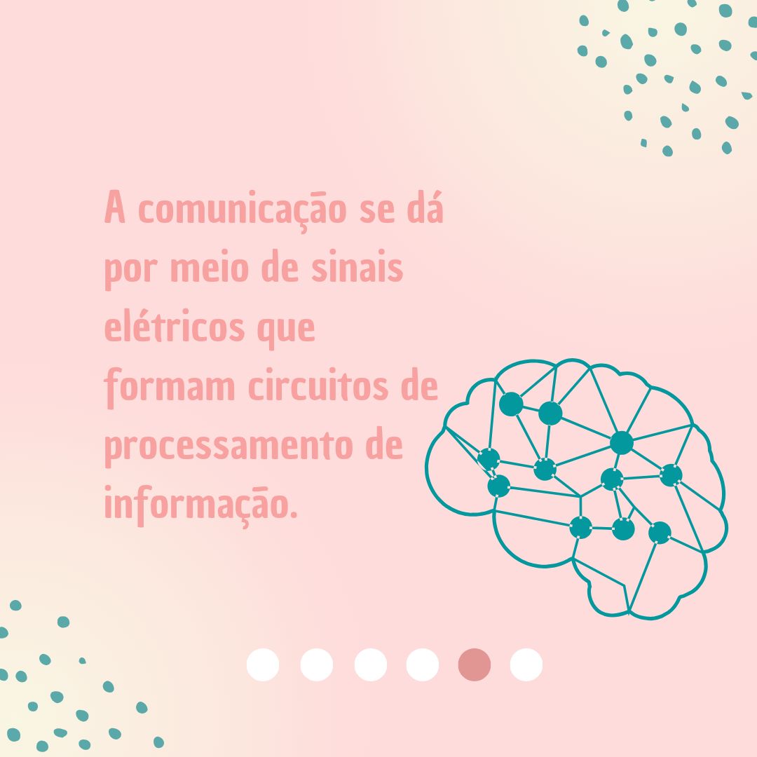 Rafaela De Arruda Custódio-16