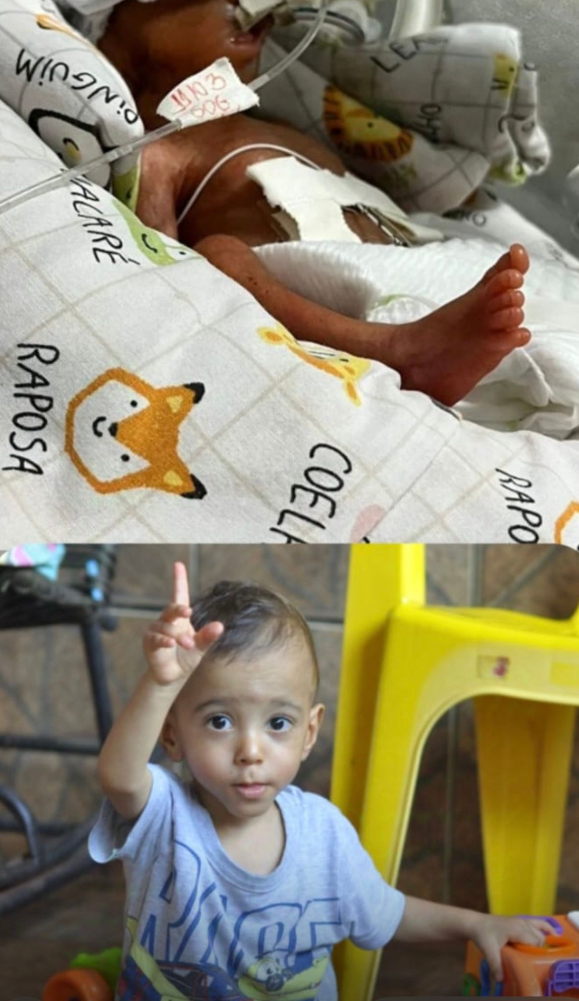 Daniella Cristina Demes-22