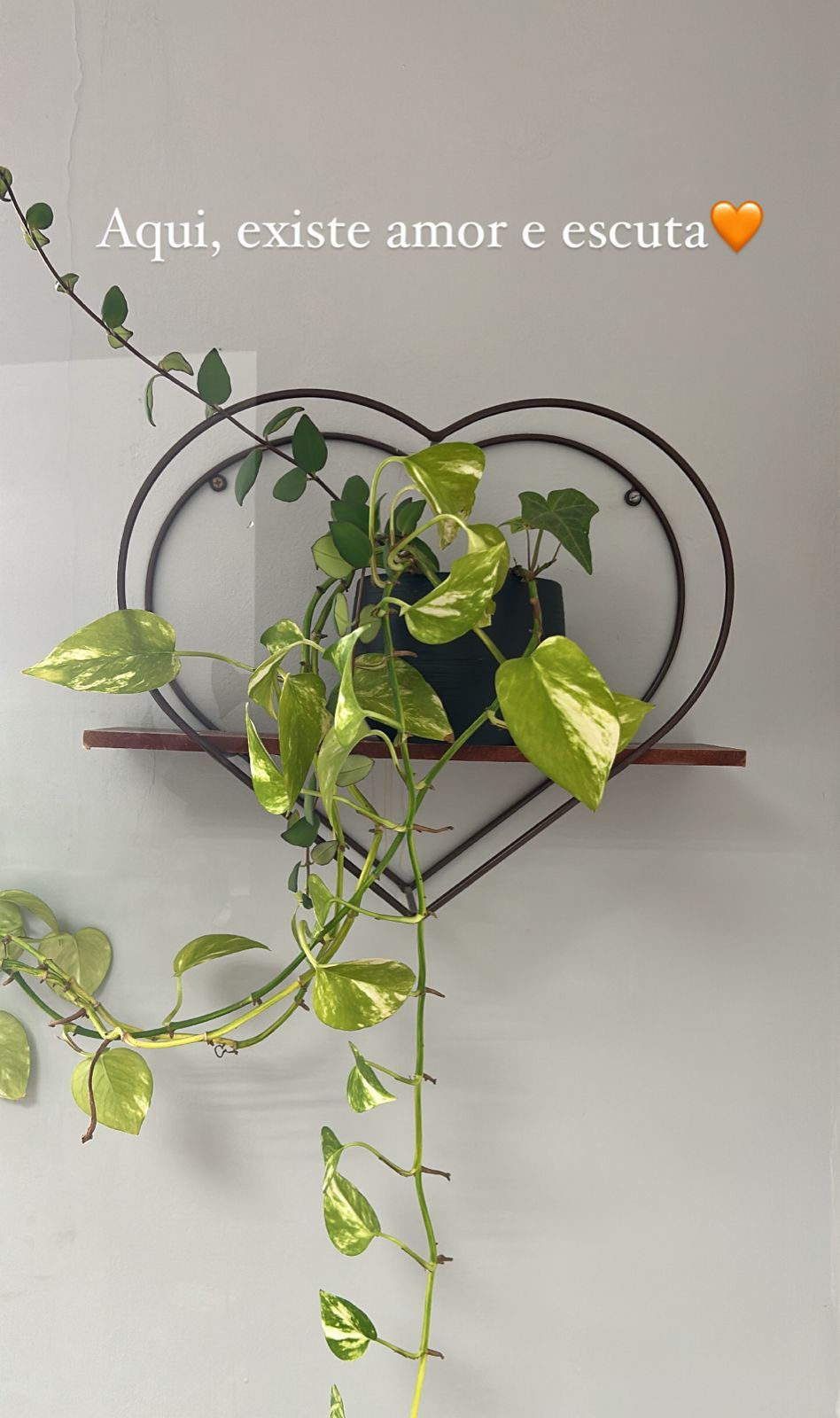 Jaqueline Thais Pilla-5