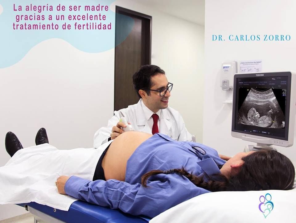 Carlos Andres Zorro Rodriguez-22