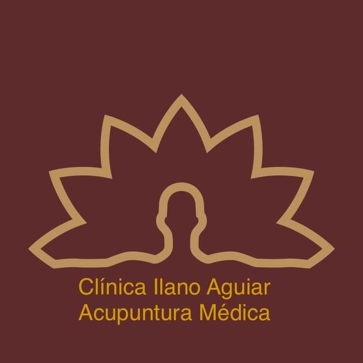 Ilano Rebello Aguiar-9